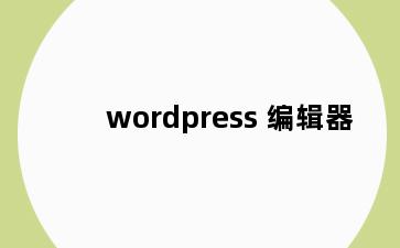 wordpress 编辑器